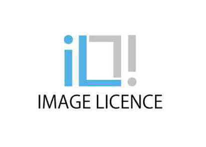 image licence logo